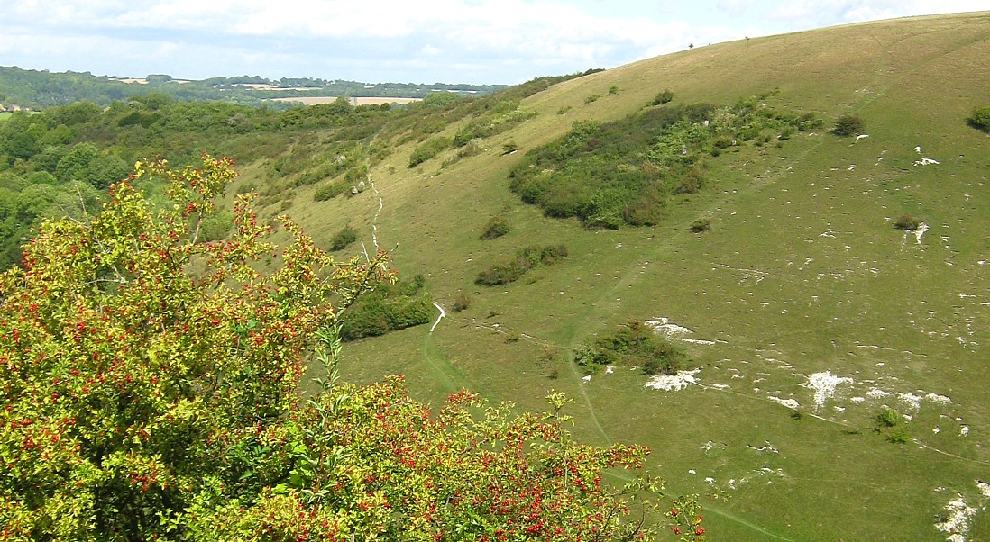 Cycle Rides Tisbury towards Cranbourne Chase and the Ebble Valley